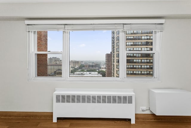 2909 N Sheridan Rd Unit 1601, Chicago, IL 60657 - detailed view of radiator, wood finished floors, and a city view