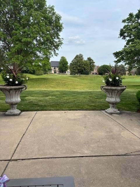 17 Ruffled Feathers Dr, Lemont, IL 60439 - view of patio / terrace