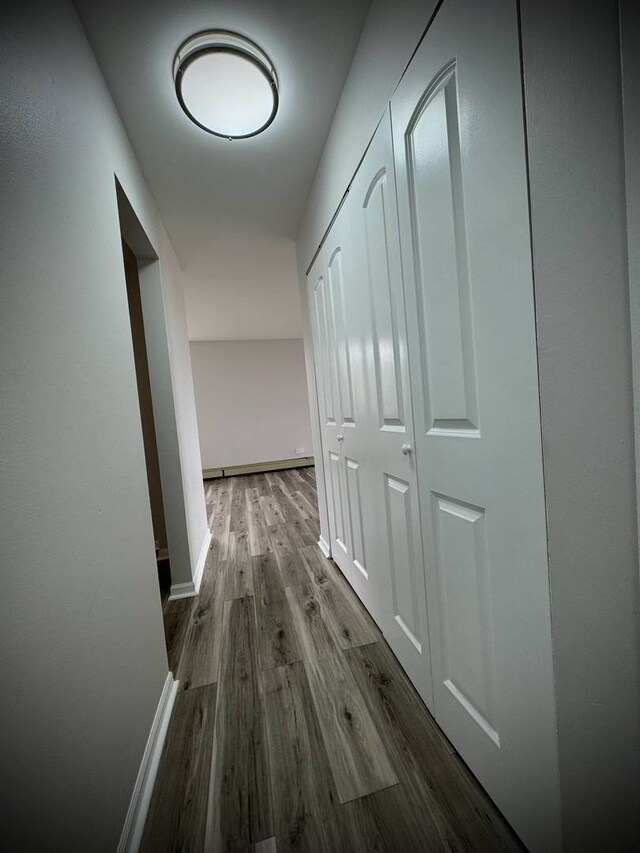 9720 S Pulaski Rd Unit 306, Oak Lawn, IL 60453 - corridor with wood finished floors and baseboards