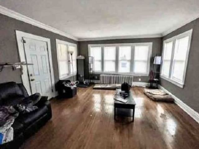 2626 W 96th Pl, Evergreen Park, IL 60805 - living area featuring radiator, ornamental molding, and wood finished floors