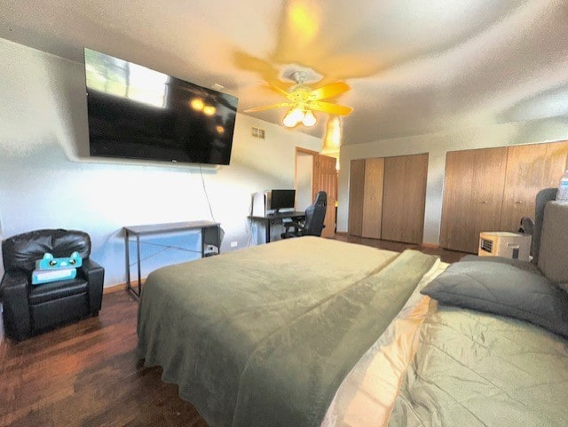 124 Village Creek Dr, Lake In The Hills, IL 60156 - bedroom featuring wood finished floors, two closets, and a ceiling fan