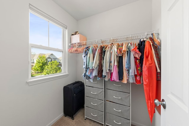 27W120 Timber Creek Dr, Winfield, IL 60190 - walk in closet featuring light colored carpet
