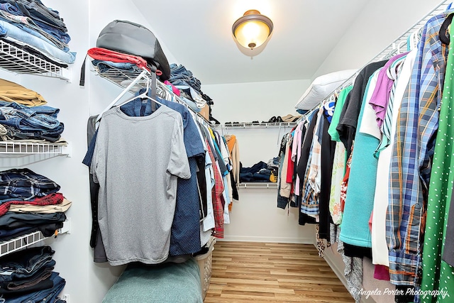 3123 Concord Ln, Wadsworth, IL 60083 - spacious closet with wood finished floors
