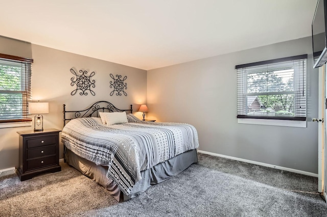 905 Harrison Ln, Hoffman Estates, IL 60192 - bedroom featuring carpet floors and baseboards