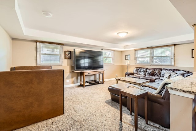 905 Harrison Ln, Hoffman Estates, IL 60192 - carpeted living room featuring a raised ceiling and baseboards