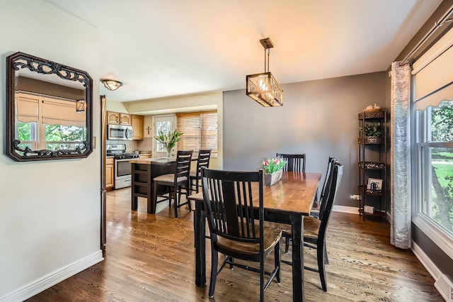 905 Harrison Ln, Hoffman Estates, IL 60192 - dining room featuring baseboards and wood finished floors