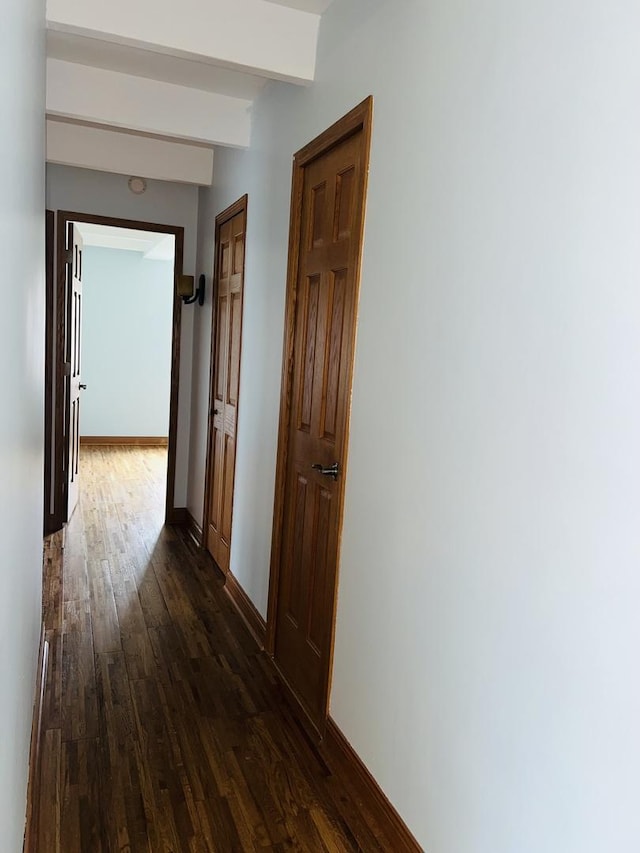 1950 W Hood Ave Unit 4C, Chicago, IL 60660 - corridor with dark wood-style flooring and beam ceiling