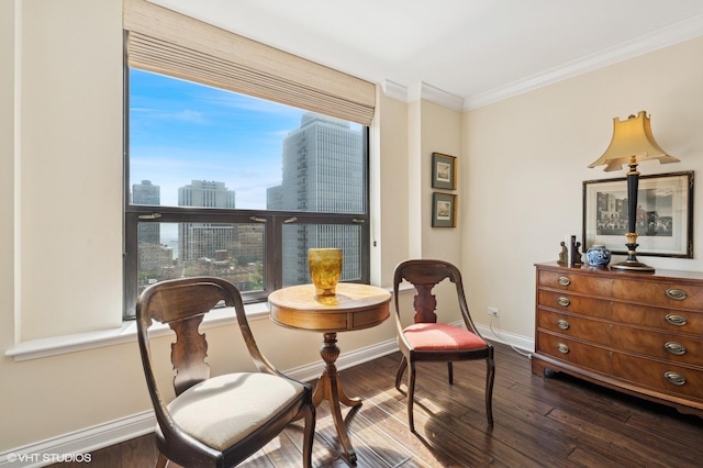 1250 N Dearborn St Unit 16B, Chicago, IL 60610 - sitting room featuring dark wood finished floors, ornamental molding, and a view of city
