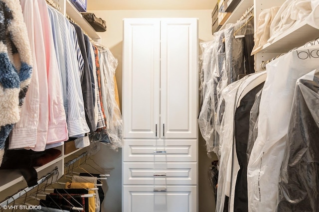 1250 N Dearborn St Unit 16B, Chicago, IL 60610 - view of walk in closet