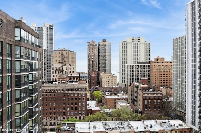 1250 N Dearborn St Unit 16B, Chicago, IL 60610 - view of city skyline