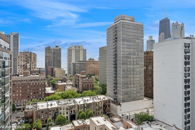 1250 N Dearborn St Unit 16B, Chicago, IL 60610 - skyline view