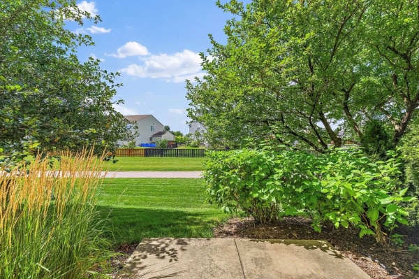 475 Lancaster Dr, Pingree Grove, IL 60140 - view of yard