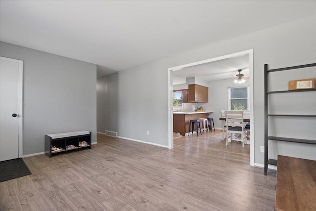 1514 N N Ave, Mchenry, IL 60050 - living area with light wood finished floors and a ceiling fan