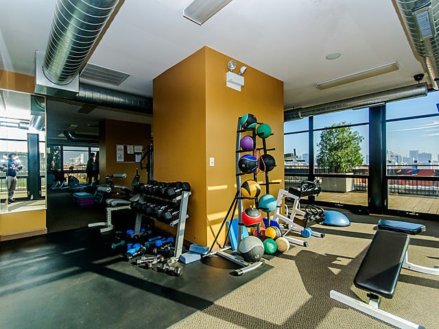 1070 W 15th St Unit 105, Chicago, IL 60608 - view of exercise room