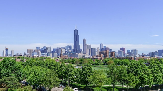 1070 W 15th St Unit 105, Chicago, IL 60608 - view of city skyline