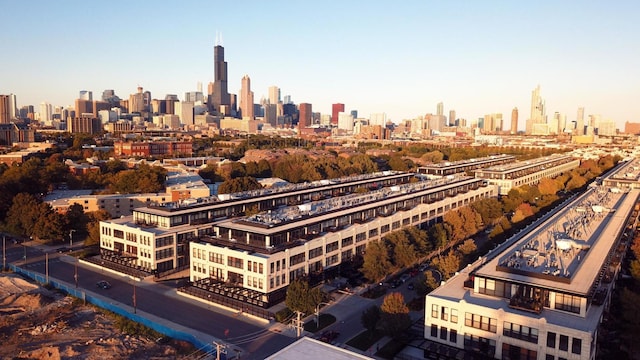 1070 W 15th St Unit 105, Chicago, IL 60608 - skyline view