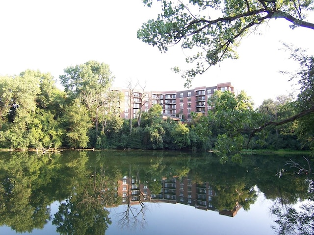 511 Aurora Ave Unit 405, Naperville, IL 60540 - water view