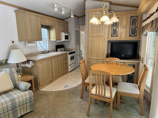 268 Fossil Bay Ct, Wilmington, IL 60481 - kitchen featuring white appliances, light countertops, crown molding, lofted ceiling, and rail lighting