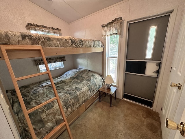 268 Fossil Bay Ct, Wilmington, IL 60481 - bedroom with carpet flooring, lofted ceiling, and multiple windows
