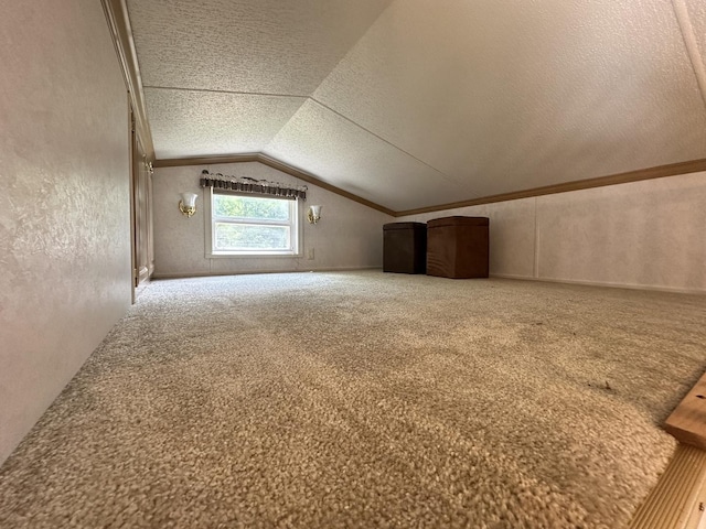 268 Fossil Bay Ct, Wilmington, IL 60481 - additional living space with carpet, vaulted ceiling, and a textured ceiling