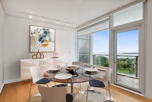 340 E Randolph St Unit 803, Chicago, IL 60601 - dining area featuring a water view, track lighting, and healthy amount of natural light