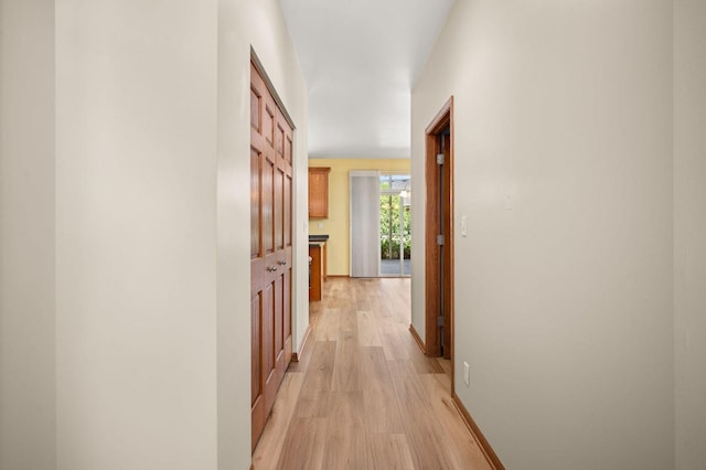 619 Northgate Dr, Sycamore, IL 60178 - hallway with light wood-type flooring and baseboards