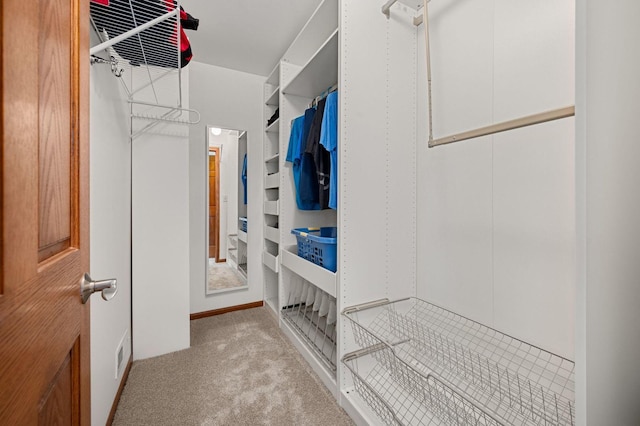 619 Northgate Dr, Sycamore, IL 60178 - spacious closet with carpet floors