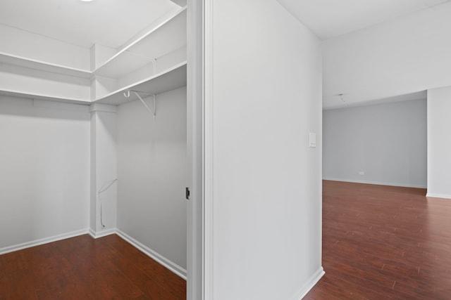 4900 Foster St Unit 410, Skokie, IL 60077 - walk in closet featuring wood finished floors