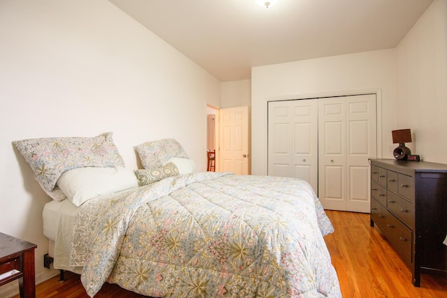 633 E Bowen Ave Unit 1E, Chicago, IL 60653 - bedroom with light wood-style flooring and a closet
