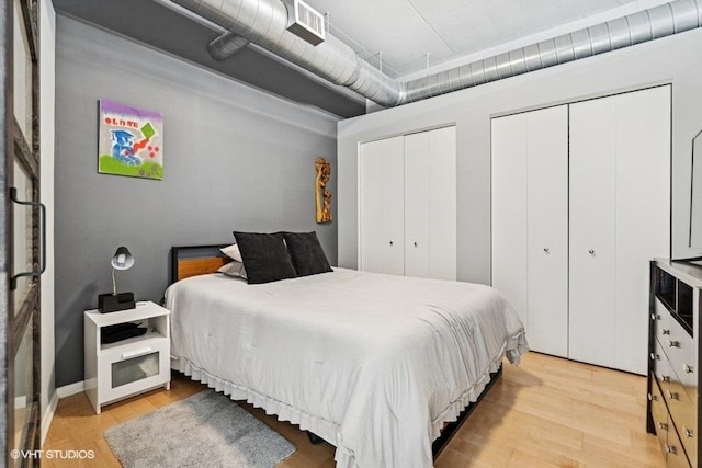 212 E Cullerton St Unit 702, Chicago, IL 60616 - bedroom featuring two closets and light wood finished floors