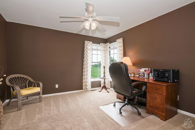 414 Alden Dr, Sycamore, IL 60178 - office space with carpet and ceiling fan