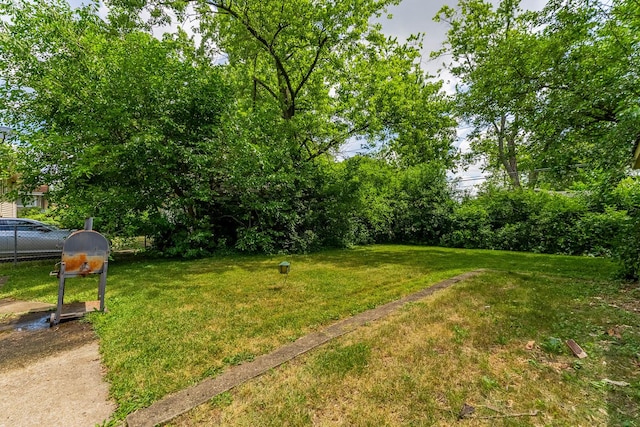 189 Westwood Dr, Park Forest, IL 60466 - view of yard
