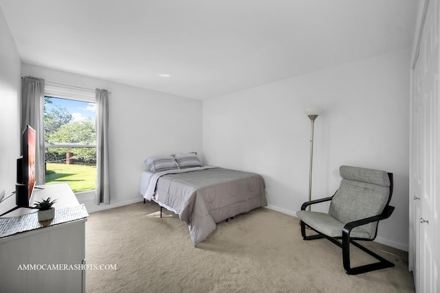 374 Oaktree Ct, Hoffman Estates, IL 60169 - photo 10