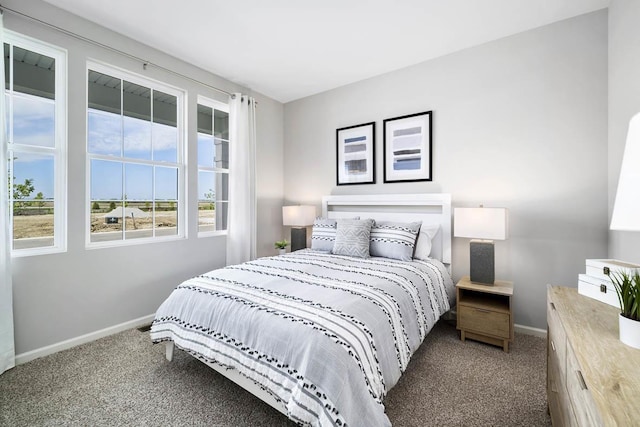14632 S Azalia Cir, Plainfield, IL 60544 - carpeted bedroom with baseboards