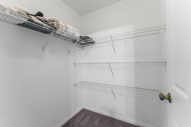 59 Colonial Ct, Streamwood, IL 60107 - spacious closet with dark carpet