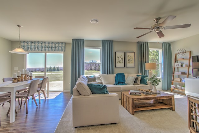 1638 Patterson Ave, North Aurora, IL 60542 - living room featuring a ceiling fan and wood finished floors