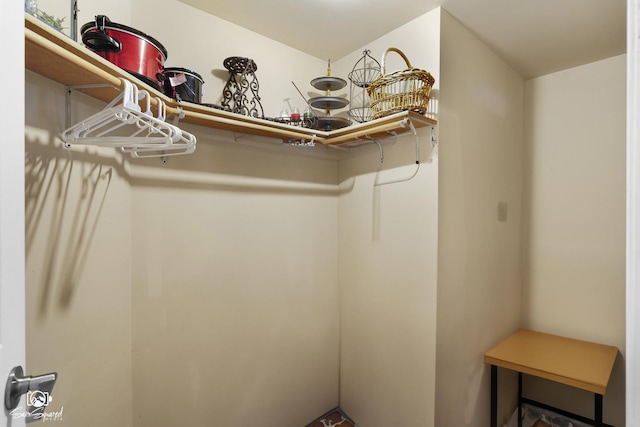 16637 W Oneida Dr, Lockport, IL 60441 - view of spacious closet