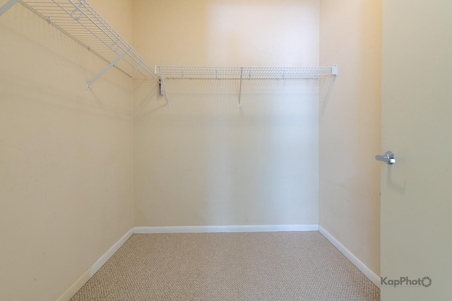 915 S Oak Park Ave Unit 1B, Oak Park, IL 60304 - walk in closet featuring carpet flooring
