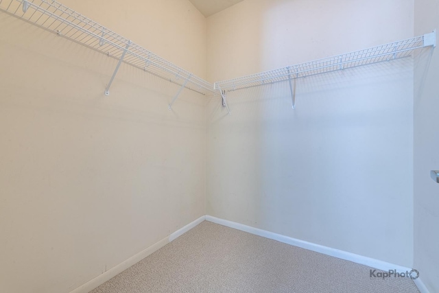 915 S Oak Park Ave Unit 1B, Oak Park, IL 60304 - walk in closet featuring carpet flooring