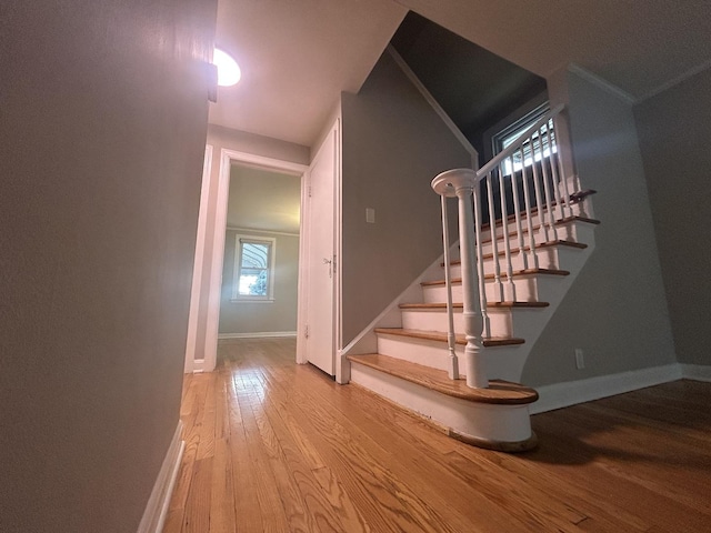 1636 N 75th Ave, Elmwood Park, IL 60707 - stairs with hardwood / wood-style floors and baseboards