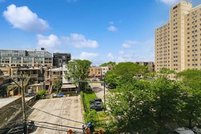 3232 N Halsted St Unit D412, Chicago, IL 60657 - view of property's community