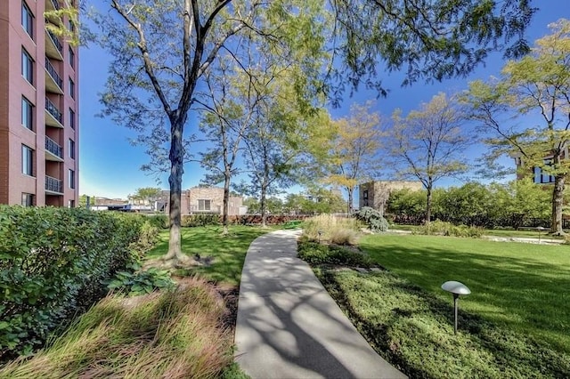 3232 N Halsted St Unit D412, Chicago, IL 60657 - view of home's community featuring a lawn