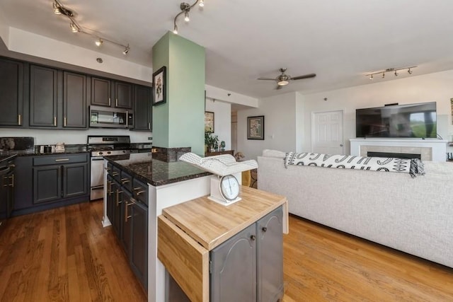 3232 N Halsted St Unit D412, Chicago, IL 60657 - kitchen featuring appliances with stainless steel finishes, open floor plan, a ceiling fan, and rail lighting