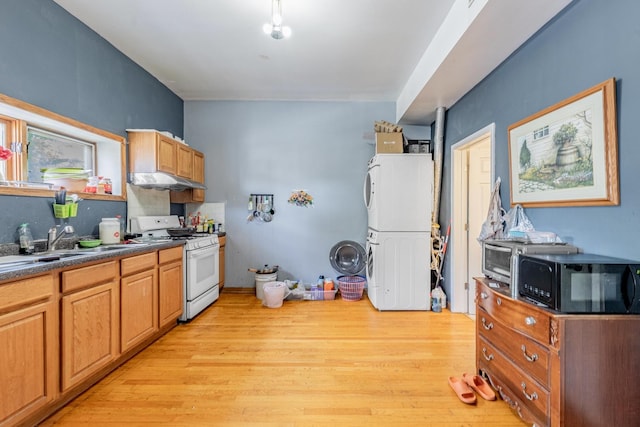 2958 S Lowe Ave, Chicago, IL 60616 - kitchen featuring gas range gas stove, black microwave, light wood-type flooring, fridge, and dark countertops