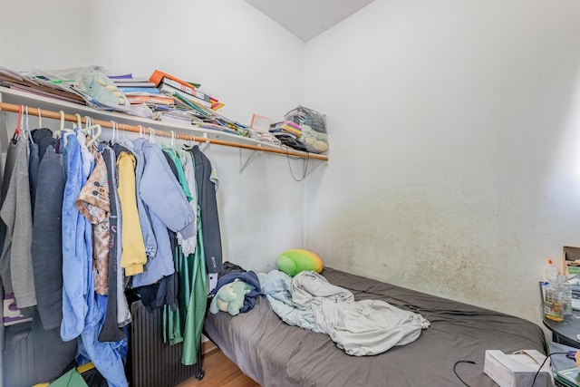 2958 S Lowe Ave, Chicago, IL 60616 - walk in closet featuring wood finished floors and lofted ceiling