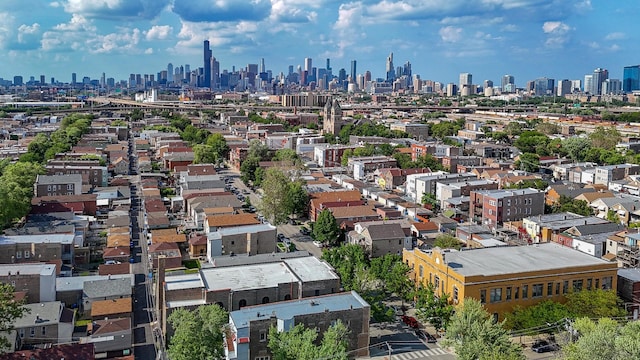 2958 S Lowe Ave, Chicago, IL 60616 - skyline view