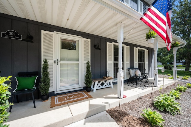 302 Carriage Hill Rd, Naperville, IL 60565 - view of exterior entry with covered porch