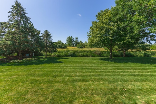 605 Ironwood Cc Dr, Normal, IL 61761 - view of grassy yard