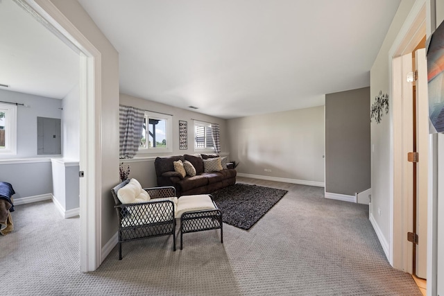 8331 W Chestnut Ct, Frankfort, IL 60423 - living room featuring electric panel and carpet flooring
