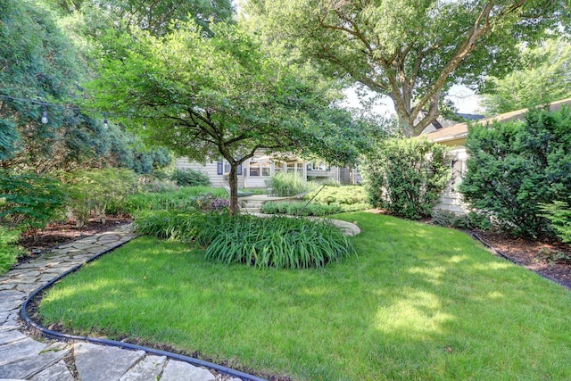 410 W 12th St, Sterling, IL 61081 - view of grassy yard